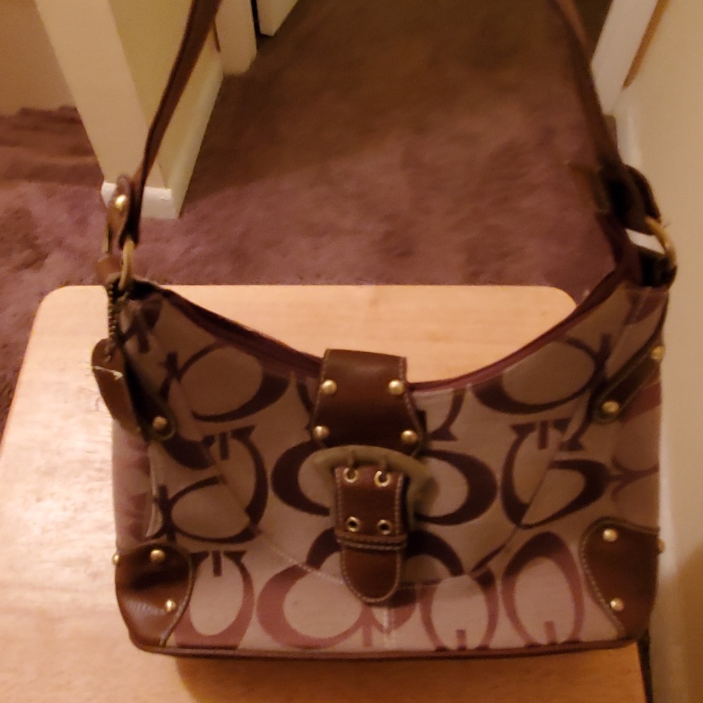 Should Hobo Bag